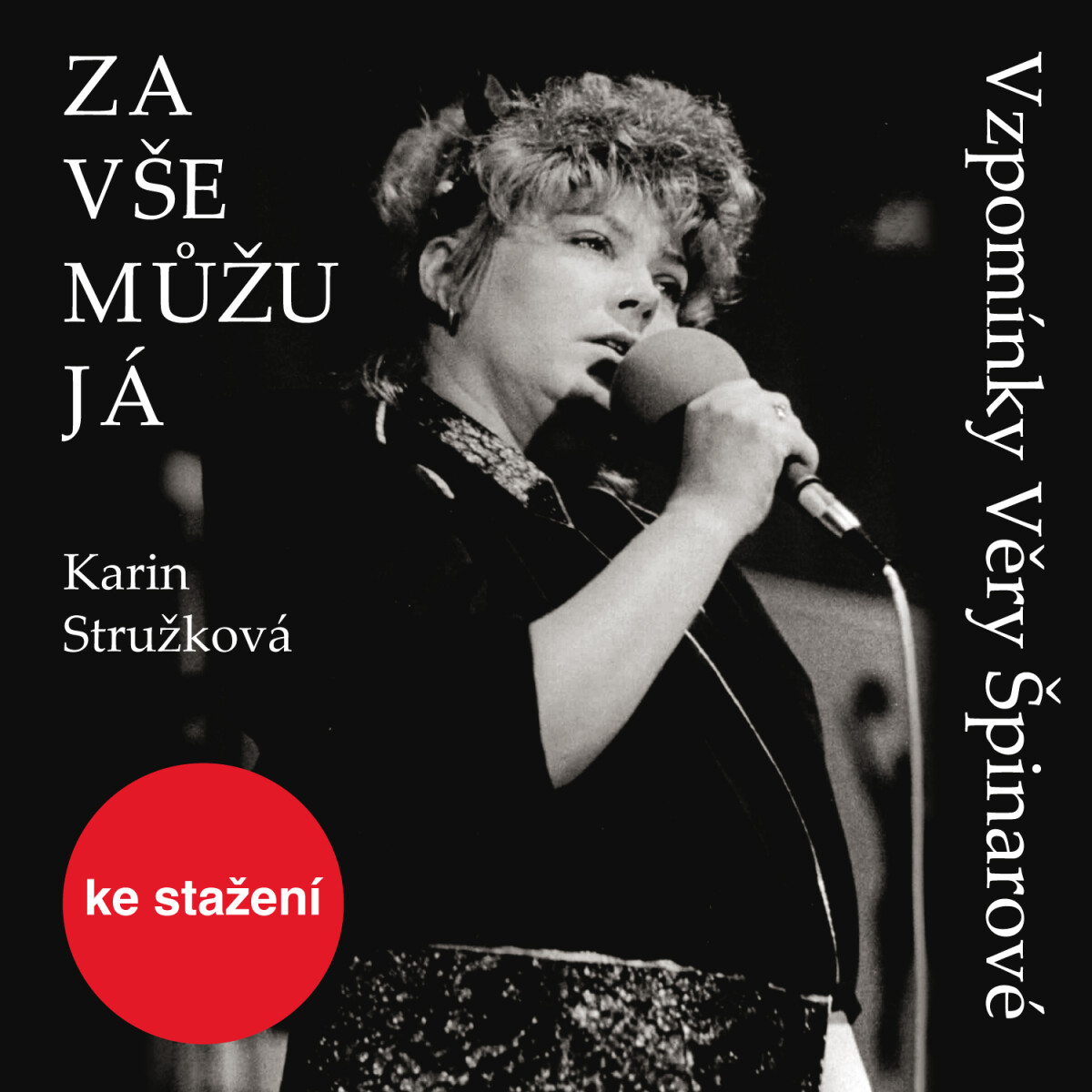 Za vše můžu já - Karin Stružková - audiokniha