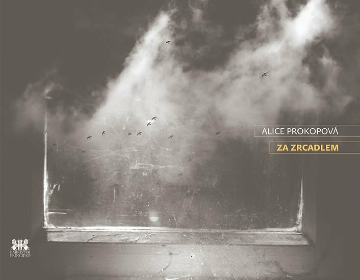 Kniha Za zrcadlem