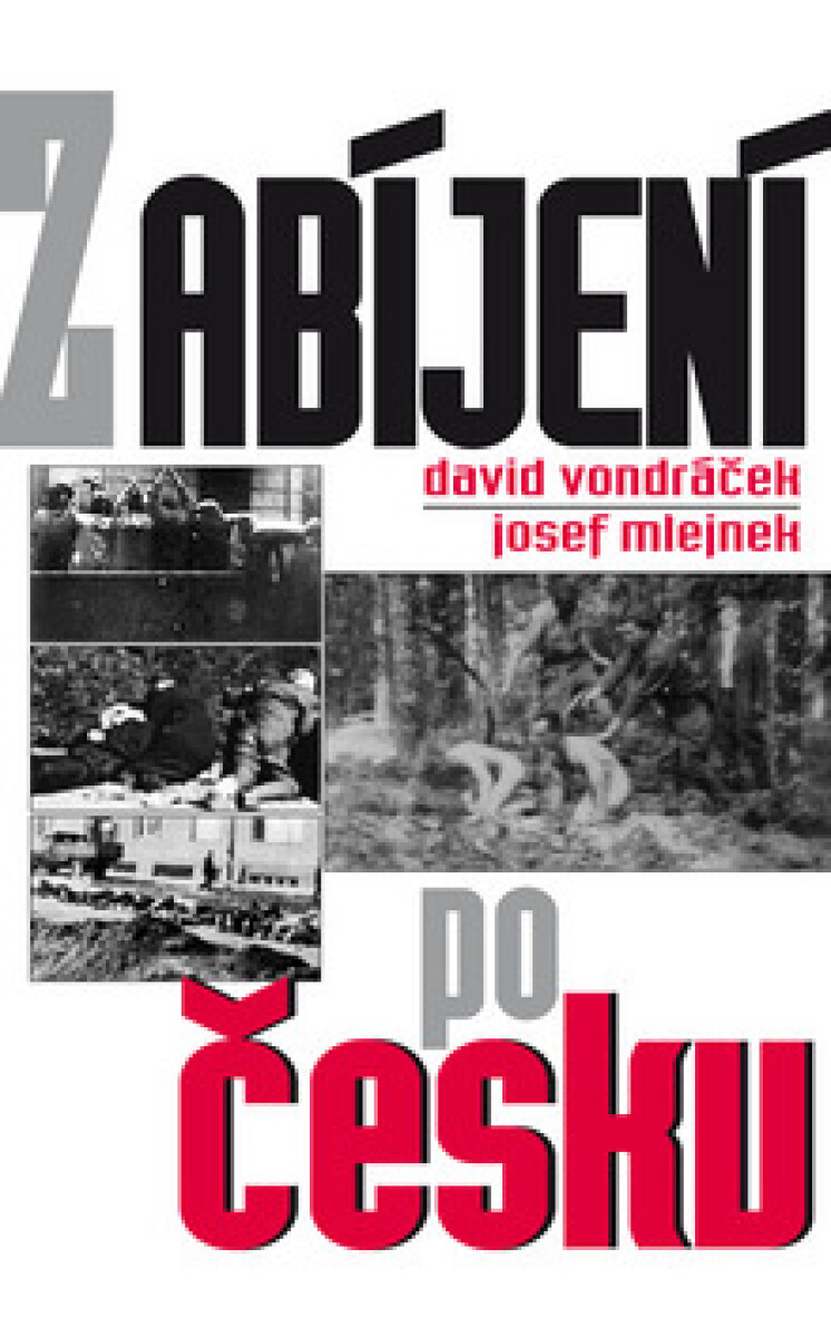 Kniha Zabíjení po česku