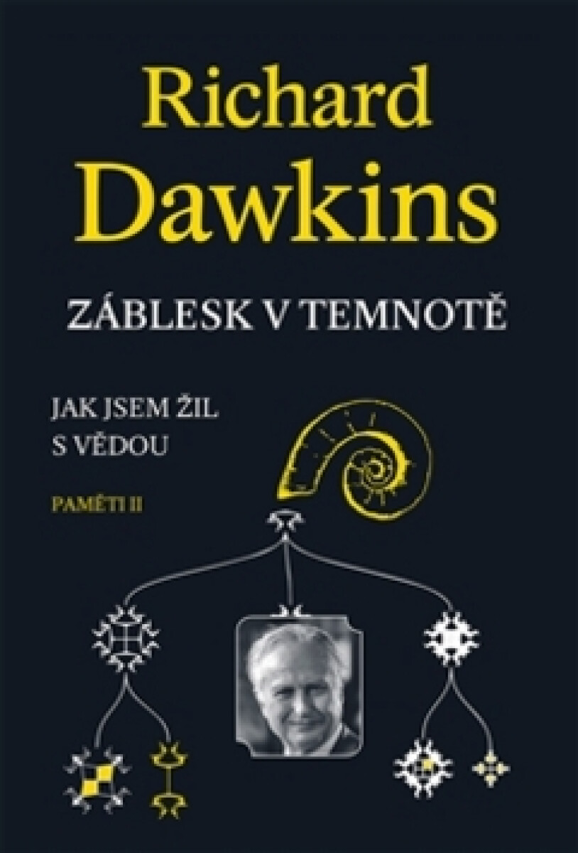 Kniha Záblesk v temnotě