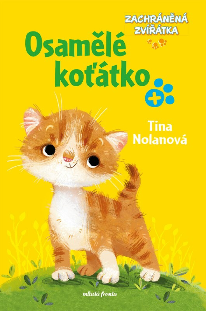 Kniha Zachráněná zvírátka: Osamělé koťátko