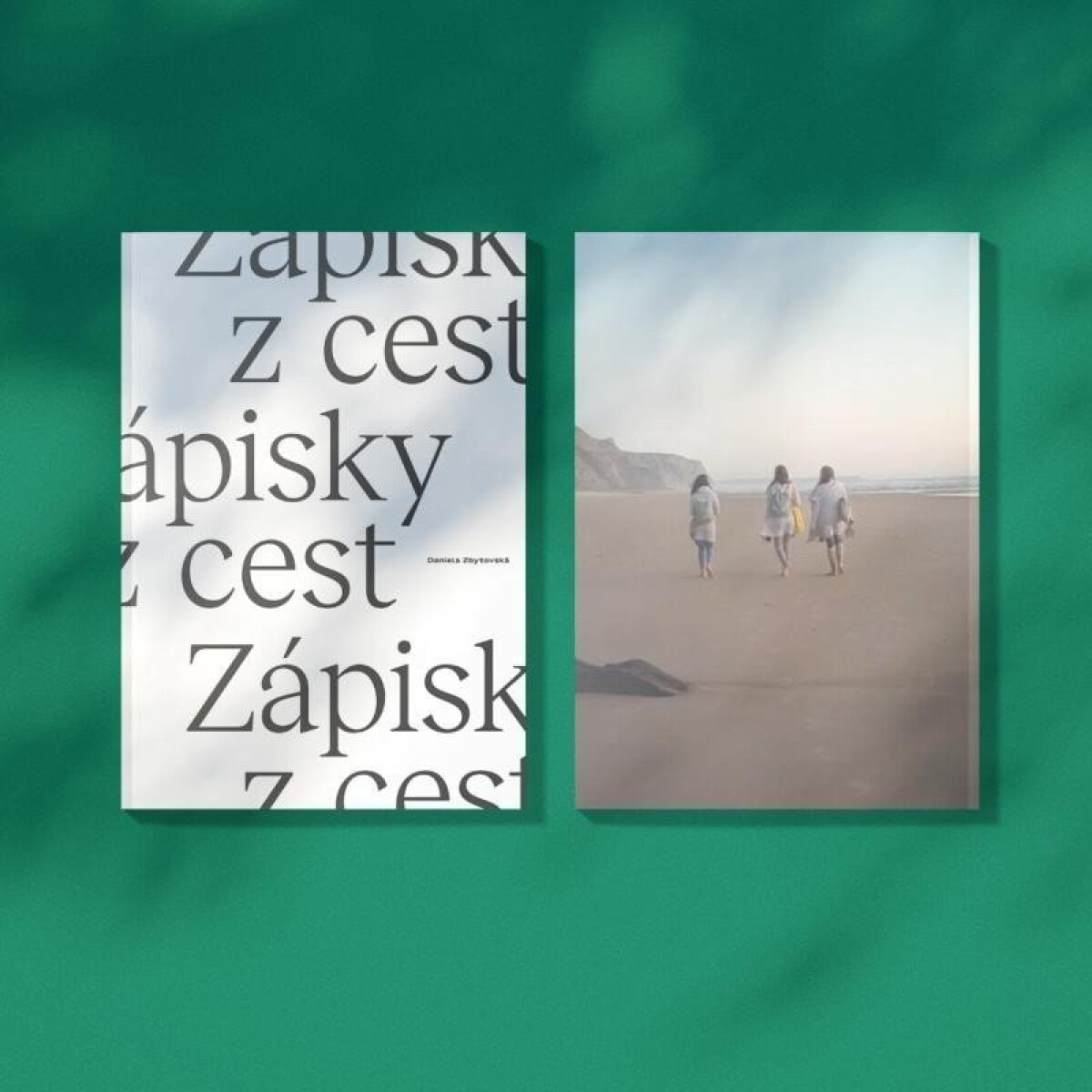 Kniha Zápisky z cest