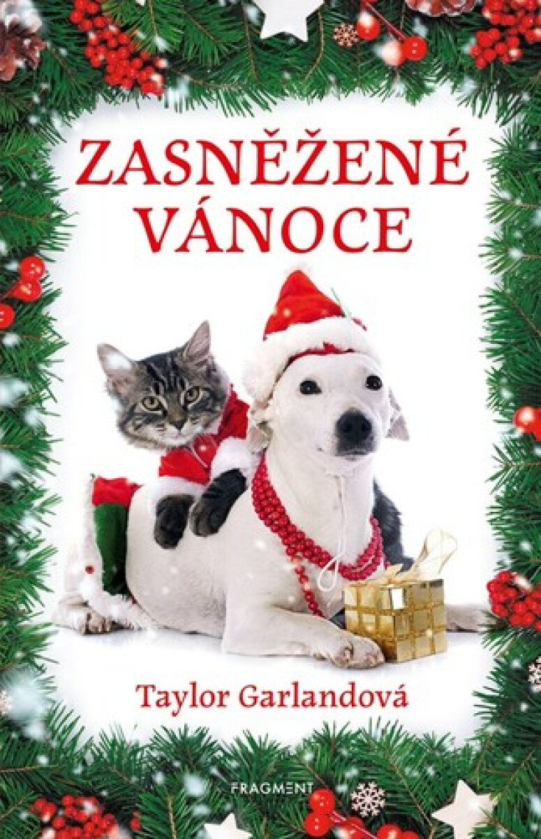 Kniha Zasněžené Vánoce