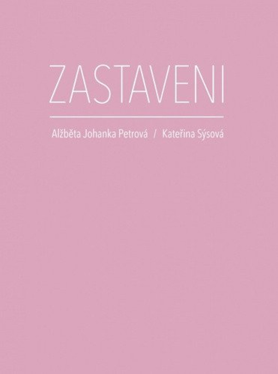 Kniha Zastaveni
