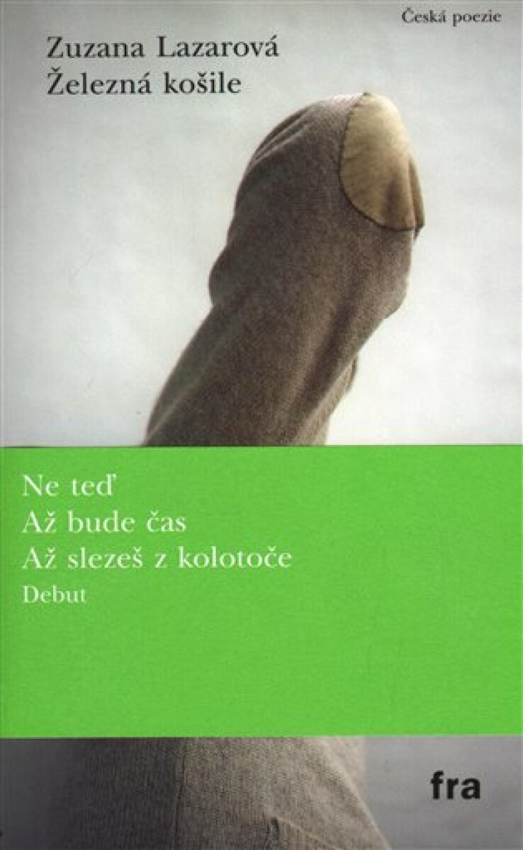 Kniha Železná košile