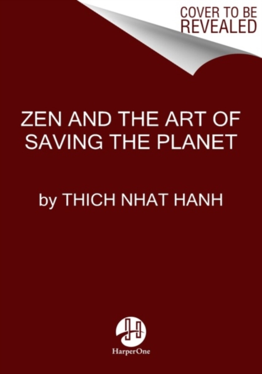 Kniha Zen and the Art of Saving the Planet
