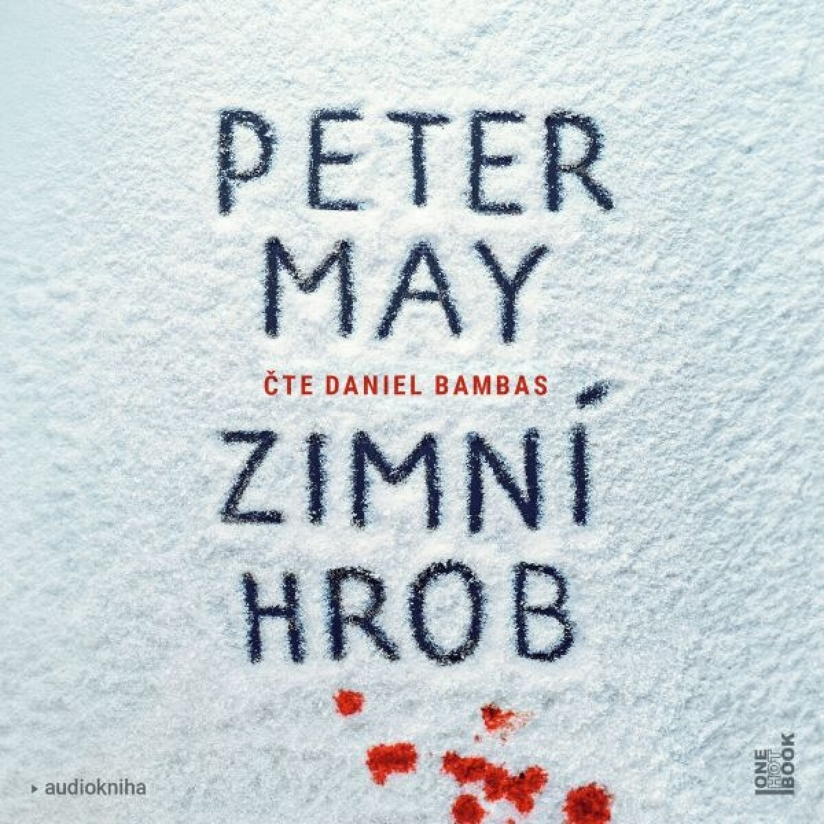 Levně Zimní hrob - Peter May - audiokniha