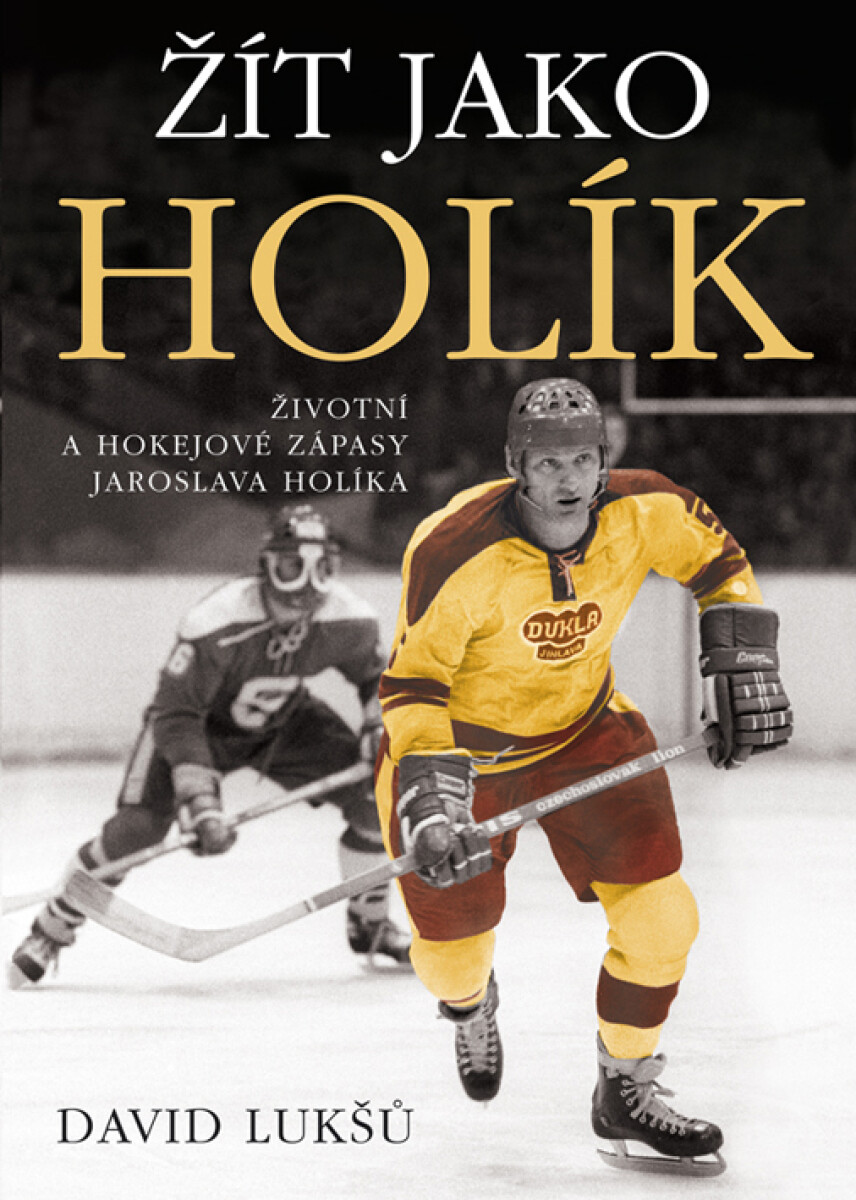 Žít jako Holík - David Lukšů