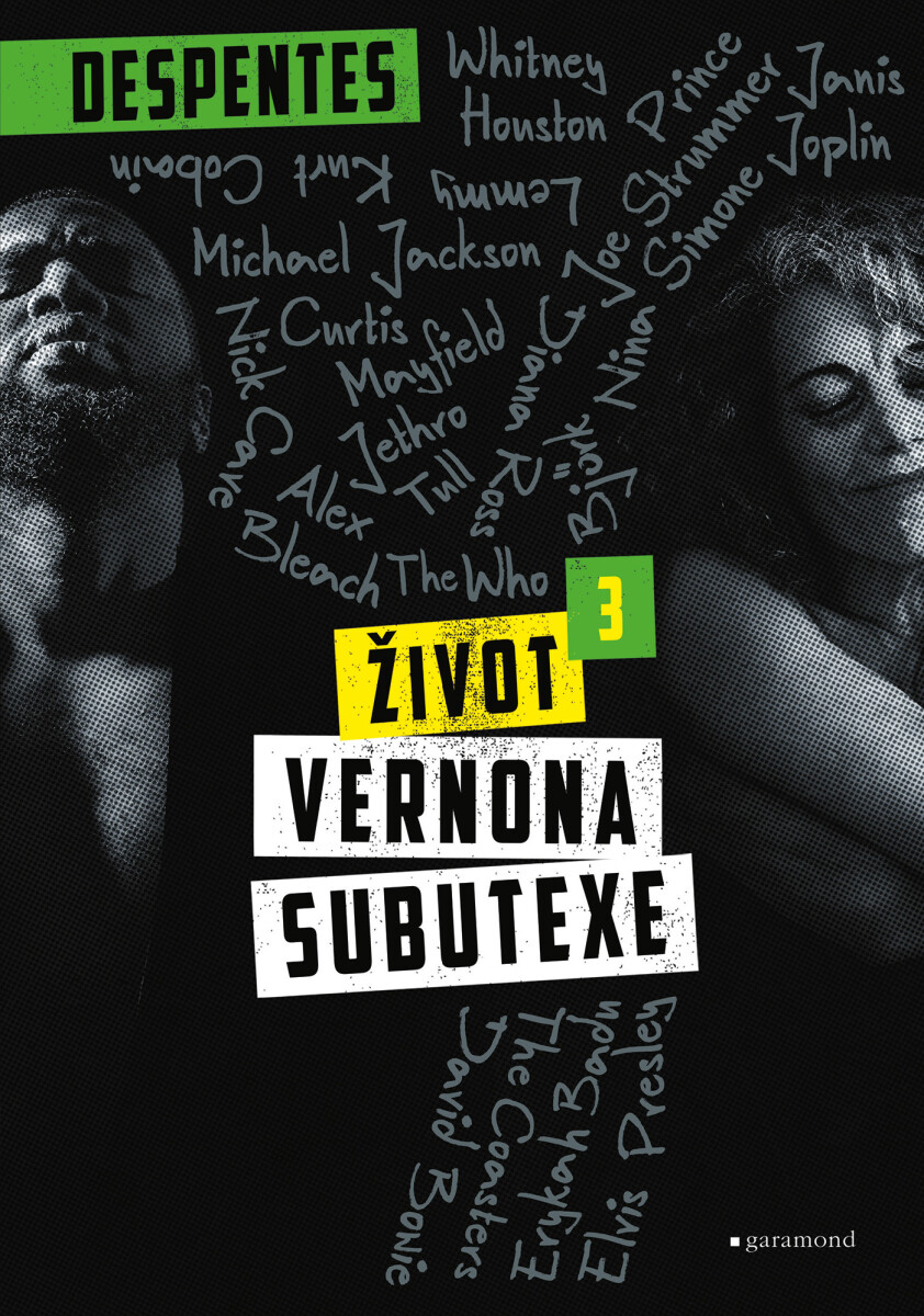 Život Vernona Subutexe 3 - Virginie Despentes