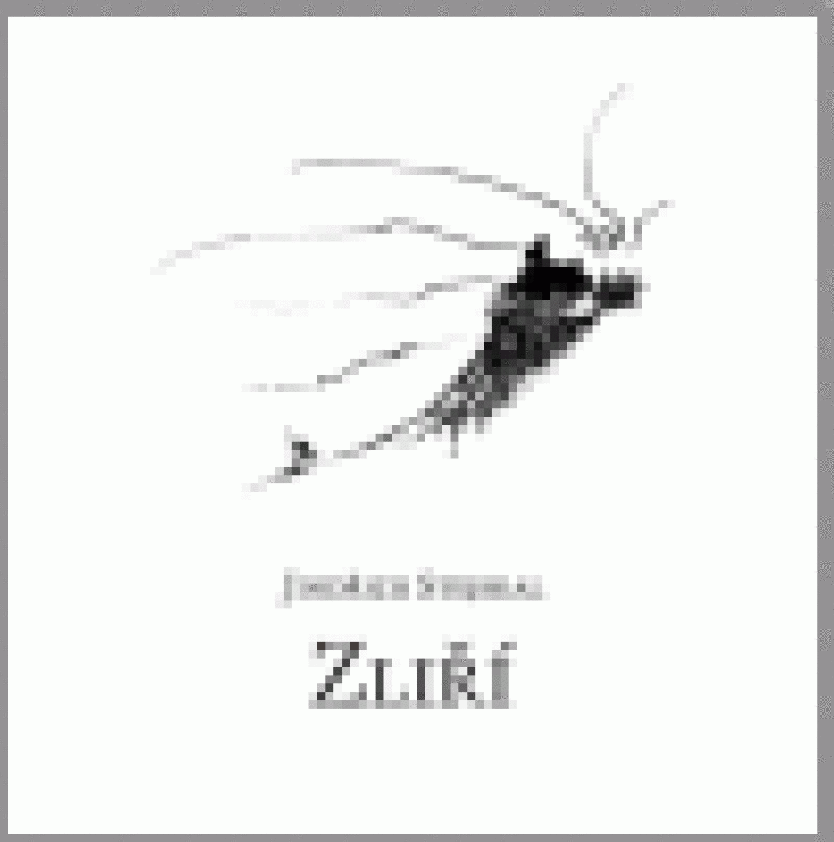 Zliří - Jindřich Stejskal, Kamil Ďurana