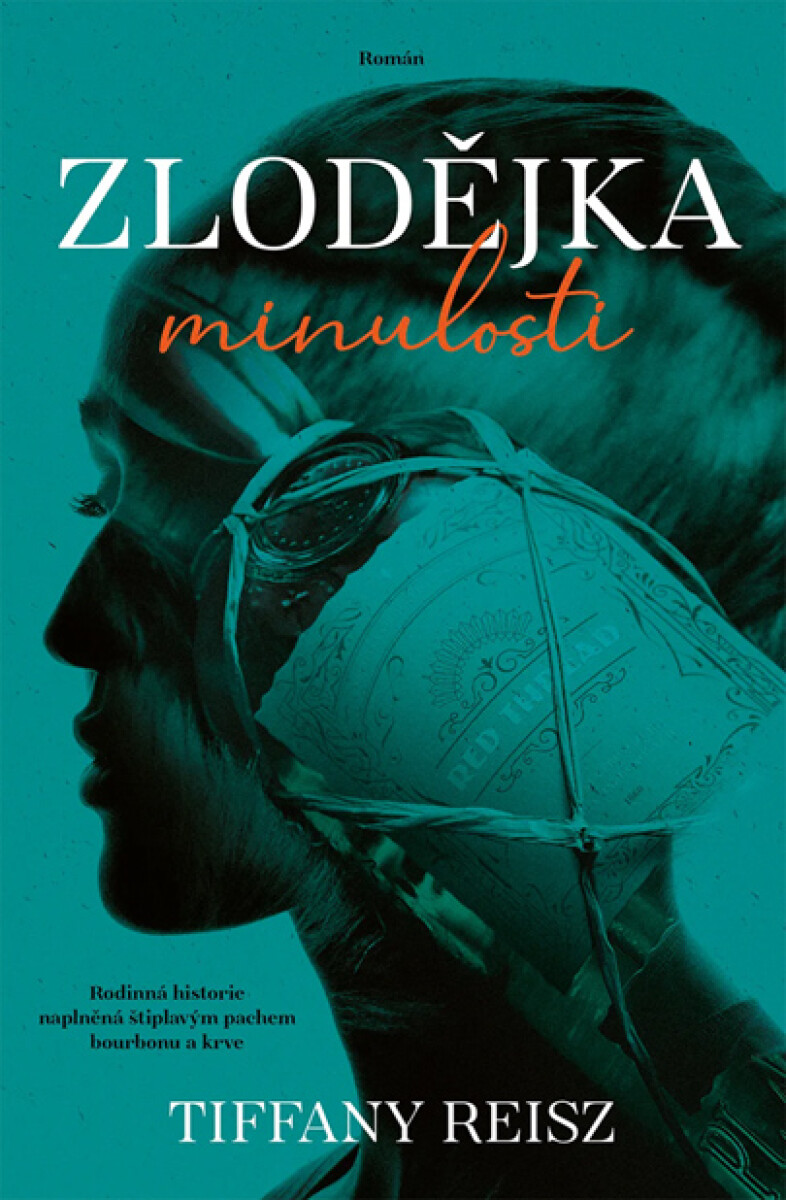 Levně Zlodějka minulosti - Tiffany Reiszová