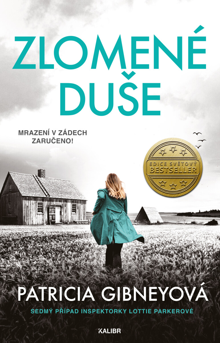 Zlomené duše - Patricia Gibneyová