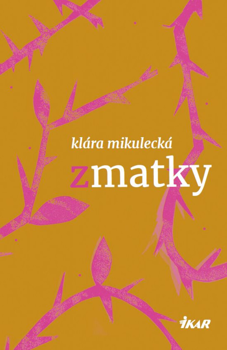 Levně Zmatky - Klára Mikulecká