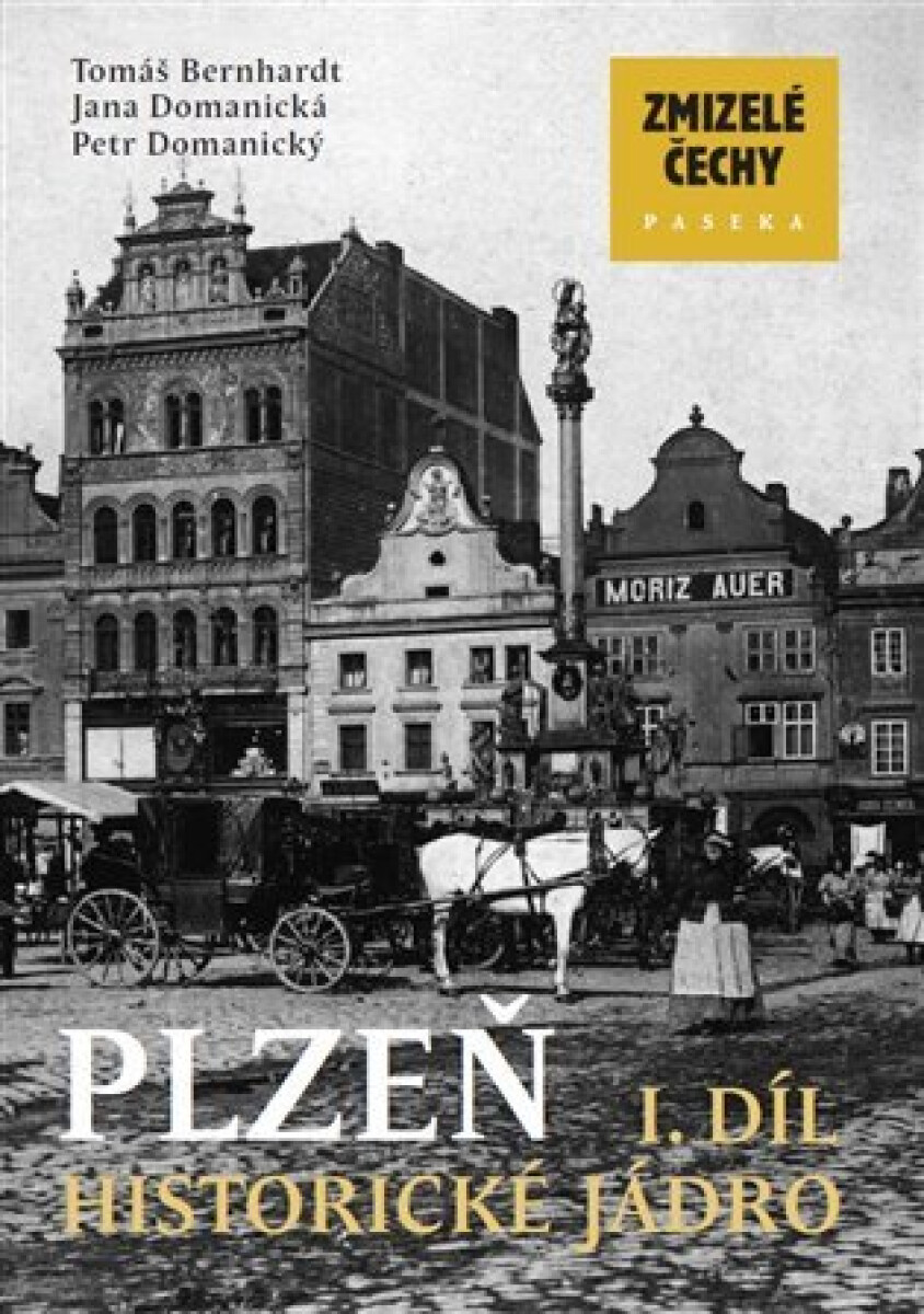 Kniha Zmizelé Čechy-Plzeň 1