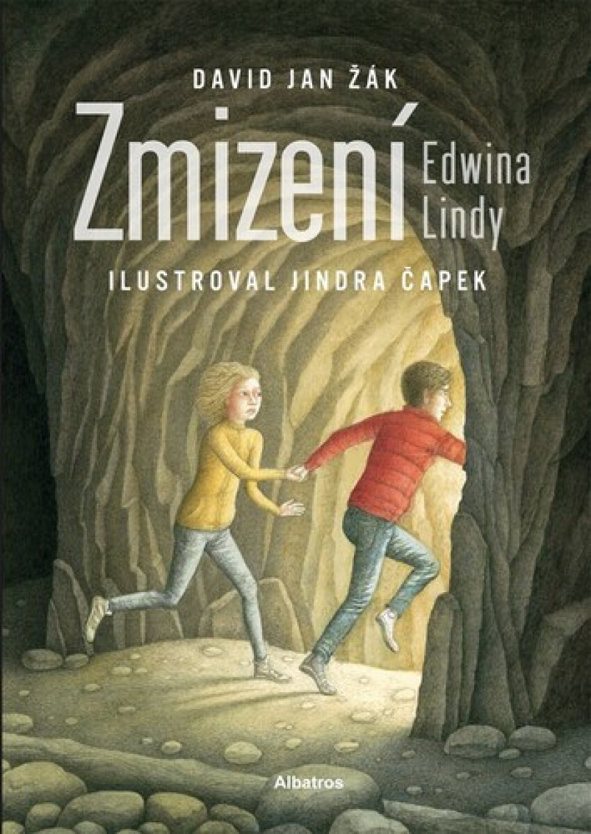 Kniha Zmizení Edwina Lindy