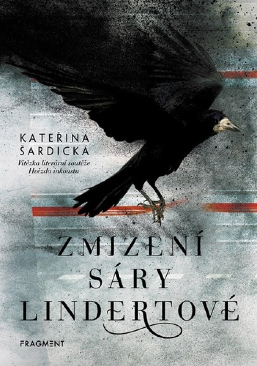 Kniha Zmizení Sáry Lindertové