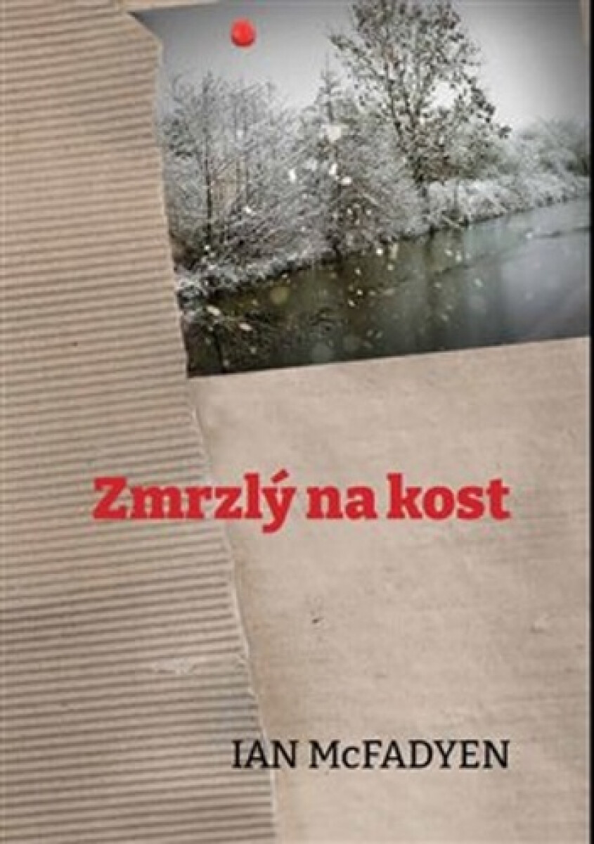 Kniha Zmrzlý na kost