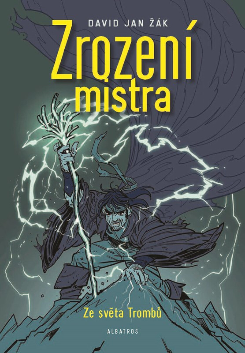 Kniha Zrození mistra