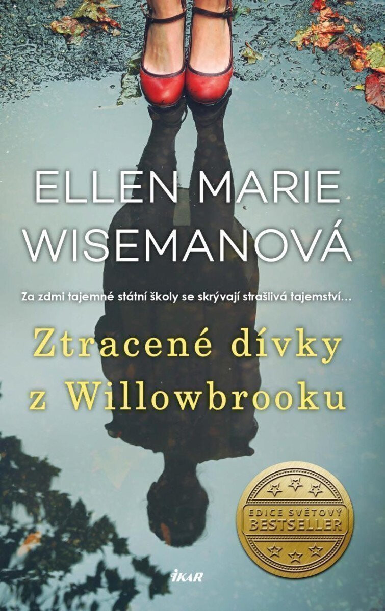 Kniha Ztracené dívky z Willowbrooku
