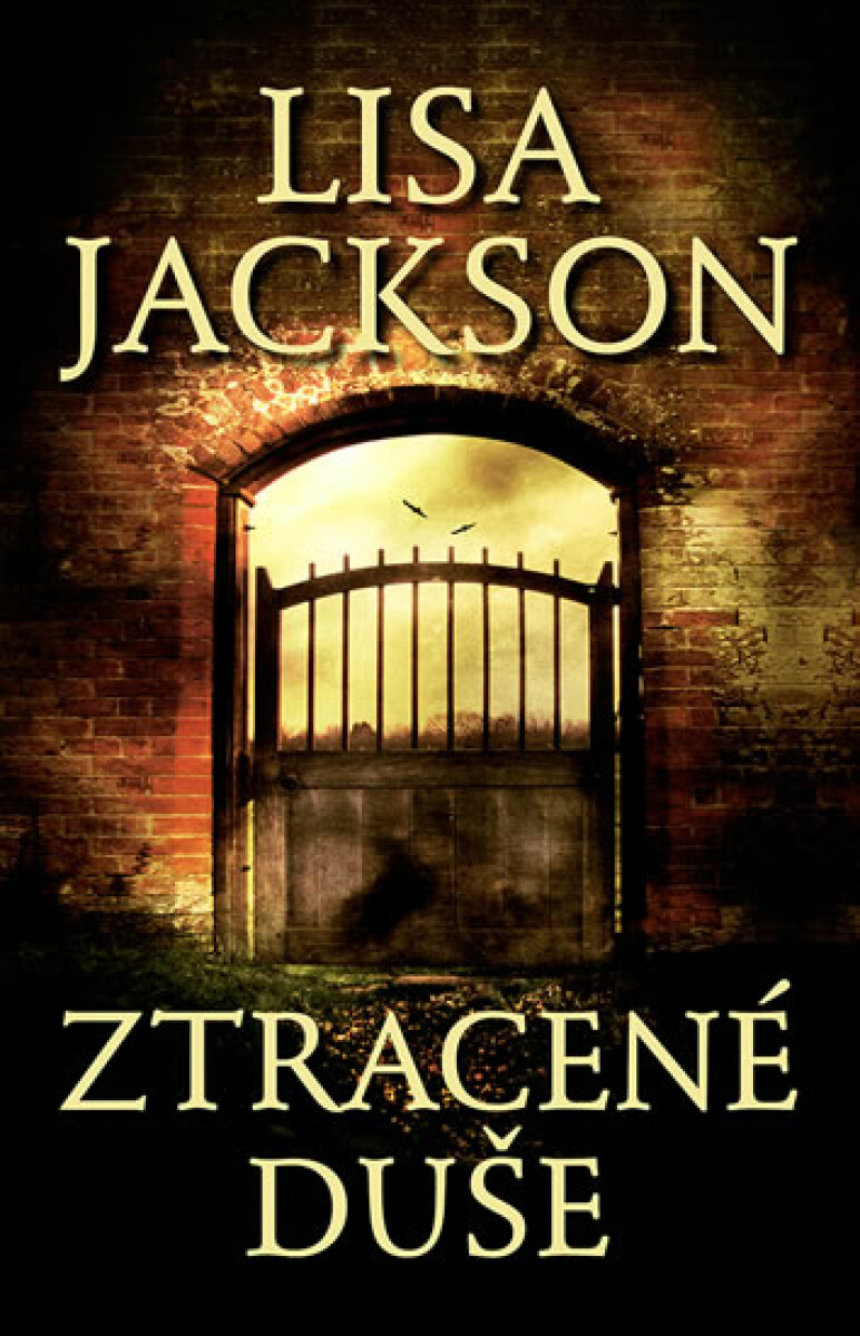 Kniha Ztracené duše (poškozená)