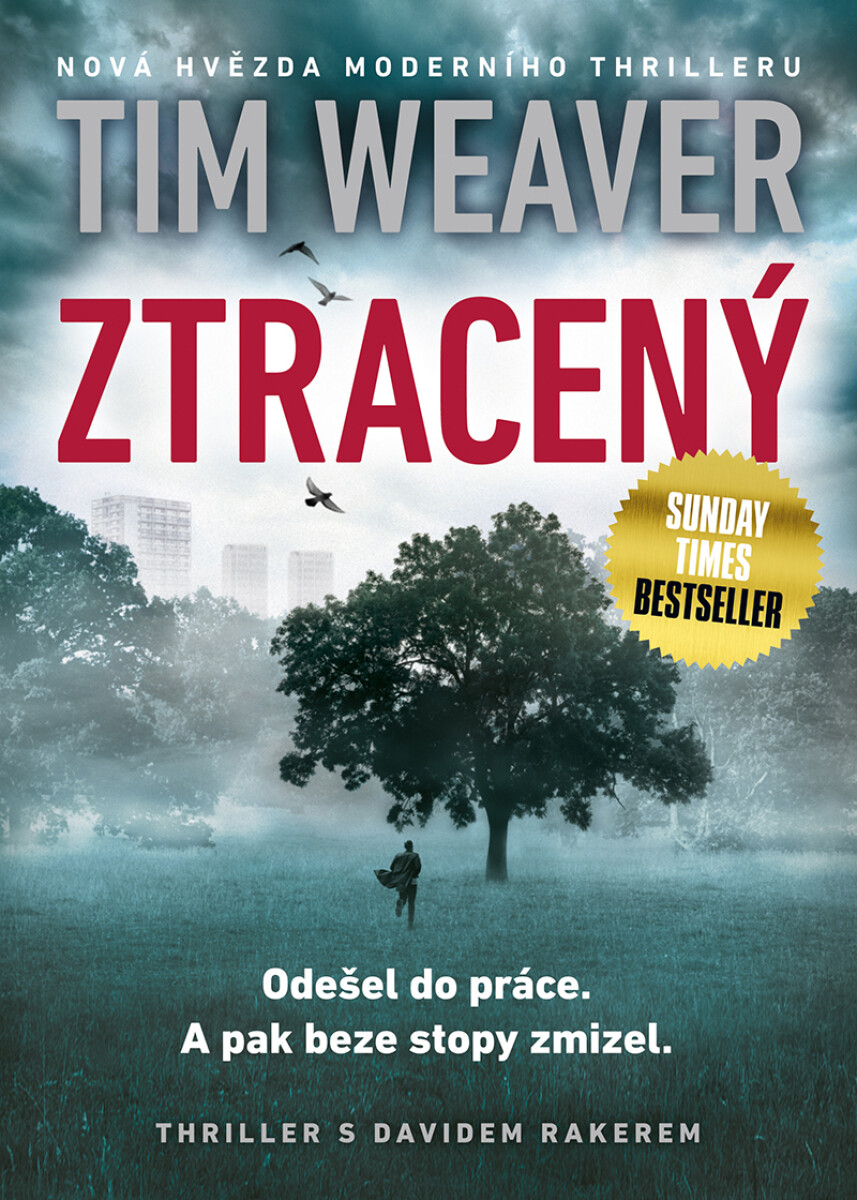 Levně Ztracený - Tim Weaver