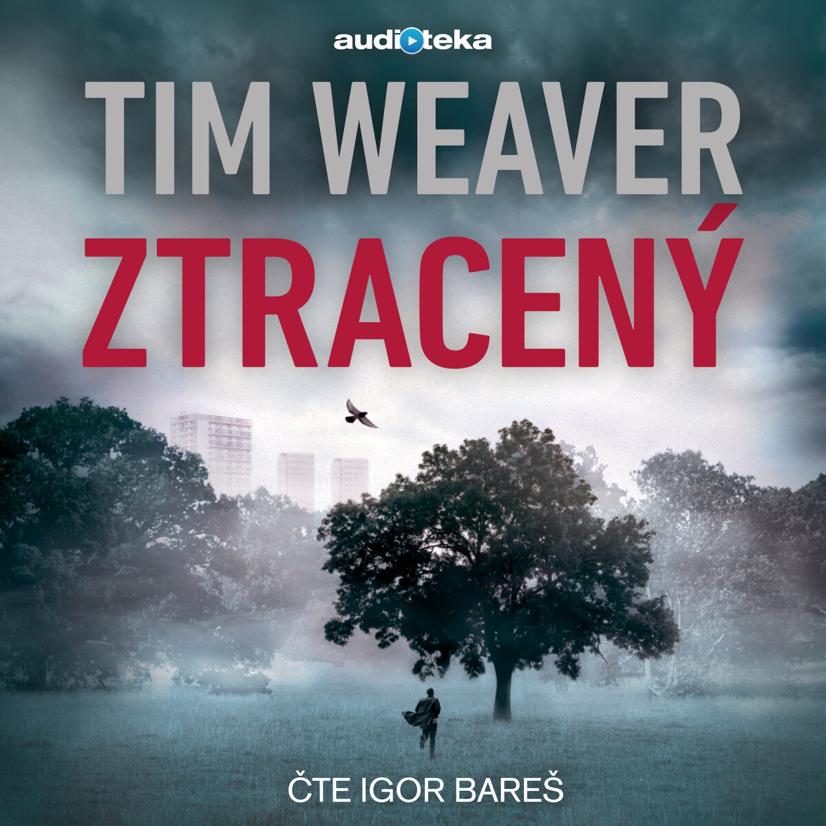 Levně Ztracený - Tim Weaver - audiokniha