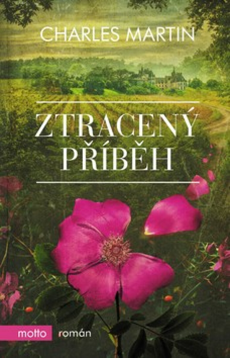 Kniha Ztracený příběh