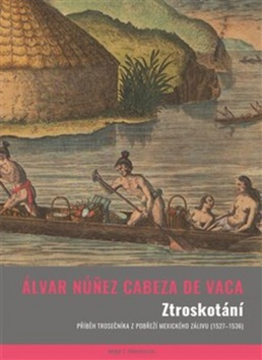 Kniha Ztroskotání
