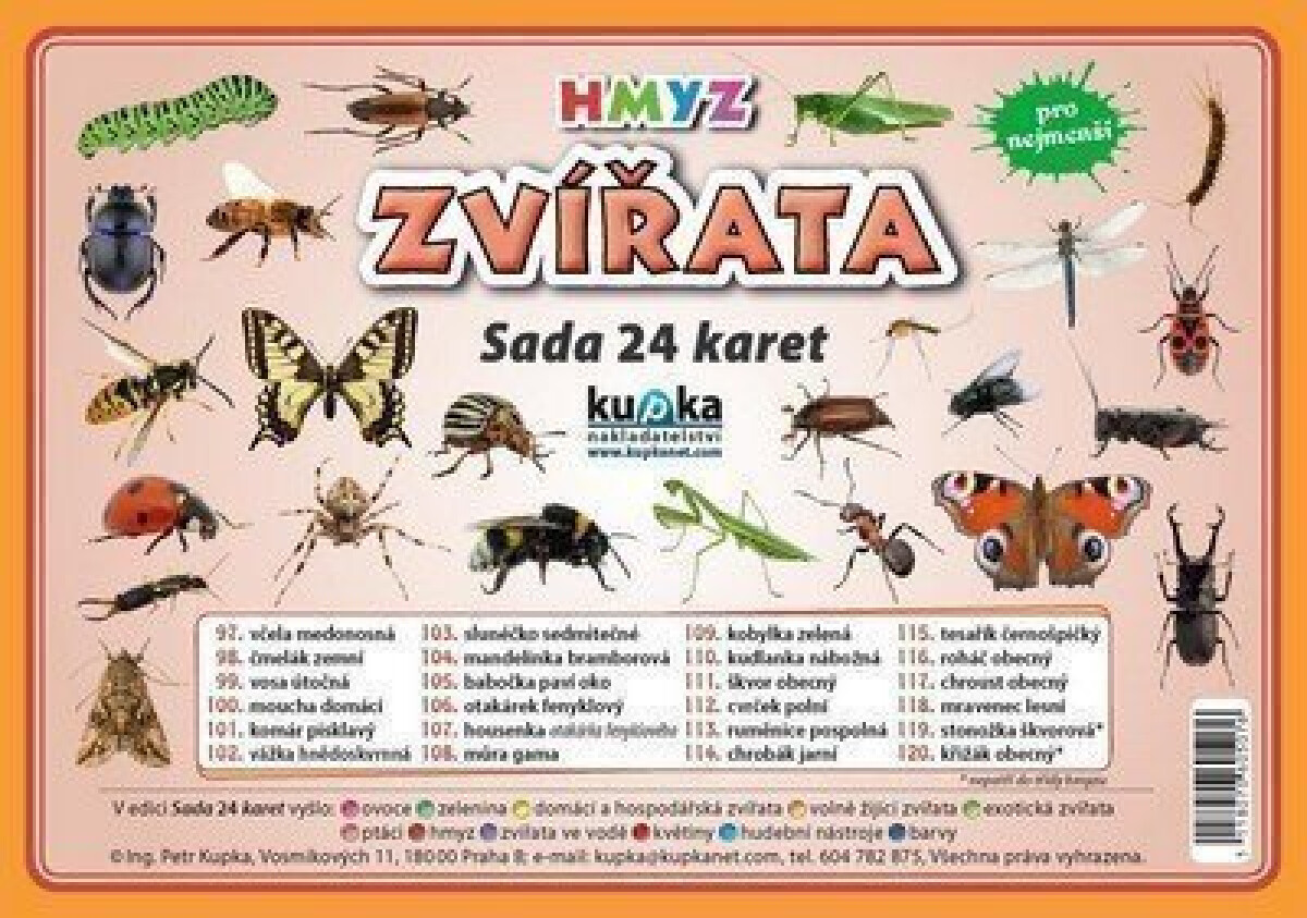 Kniha Zvířata hmyz - Sada 24 karet