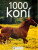 1000 koní - 