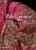 18th-Century Fashion in Detail - Susan North