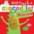 Never Touch a Crocodile! - Rosie Greening