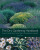 The Dry Gardening Handbook - Olivier Filippi