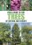 Field Guide to Trees of Britain and Europe - Alan Birkett