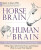Horse Brain, Human Brain : The Neuroscience of Horsemanship - Jones Janet