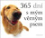 365 dní s mým věrným psem - Helen Exley
