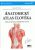 Anatomický atlas člověka - Frank H. Netter
