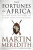 Fortunes of Africa - Meredith Martin