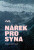 Nářek pro syna - 