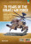 75 Years of the Israeli Air Force - Bill Norton