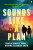 Sounds Like a Plan - Dwayne Alexander Smith,Pamela Samuels Young