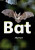 Bat (Set 02) - Jilly Hunt