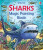 Sharks Magic Painting Book - Sam Baer