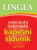 Rusko-český a česko-ruský kapesní slovník - 