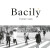 Bacily - Vladimír Najda