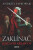 Zaklínač Rázcestie krkavcov - Andrzej Sapkowski