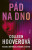 Pád na dno - Colleen Hooverová