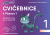 Cvičebnice 1 k Písance 1: kresebné cviky pro 1. ročník ZŠ - 