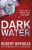 Dark Water (Defekt) - Robert Bryndza
