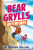 A Bear Grylls Adventure 10: The Mountain Challenge - Bear Grylls